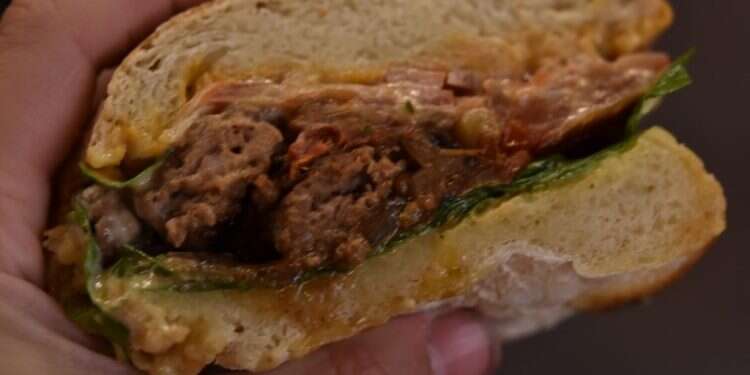 צילום: חן קורן