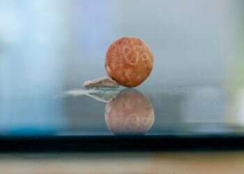 צילום: אליהו ינאי, עיר דוד