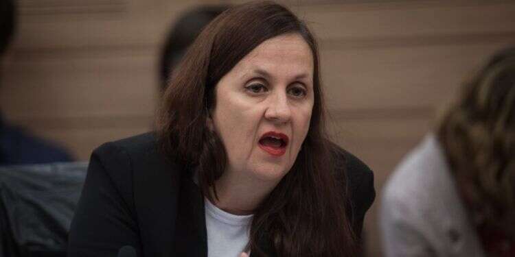 דינה זילבר בוועדת חוקה של הכנסת. צילום: הדס פרוש, פלאש90 צילום: הדס פרוש, פלאש90