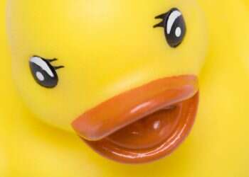 צילום: גטי אימג'ס