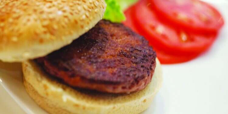 צילום: רויטרס