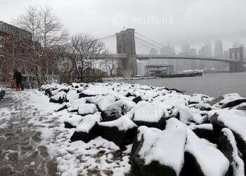 צילום: רויטרס