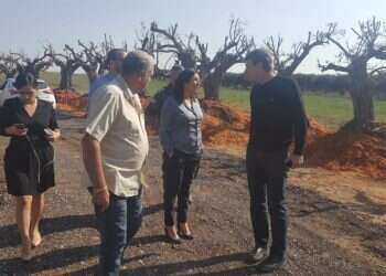 צילום: יאיר קראוס