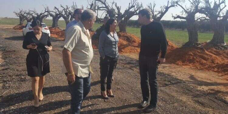 צילום: יאיר קראוס