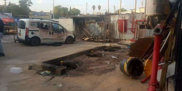 צילום: יאיר קראוס