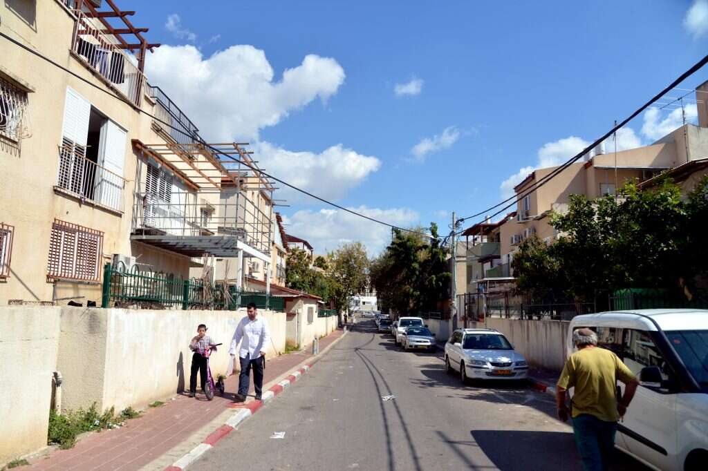 צילום: יוסי זליגר