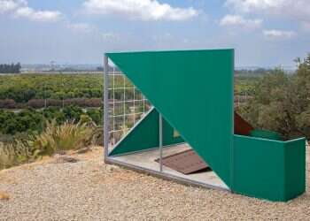 צילום: טל נסים