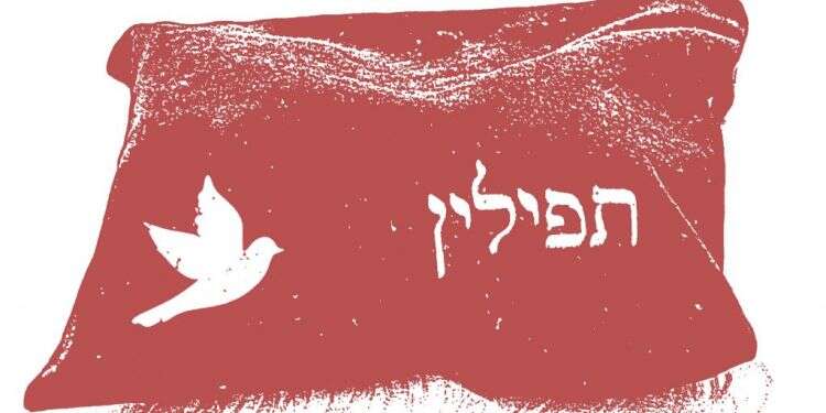 אל תעוף, גוזל: מכתב לבני בהגיעו למצוות