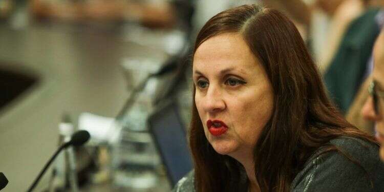 המשנה ליועמ צילום: אורן בן חקון