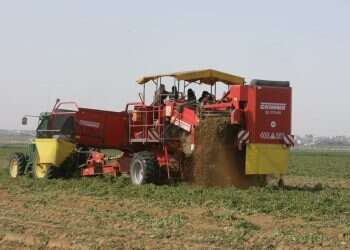 צילום: מרים צחי