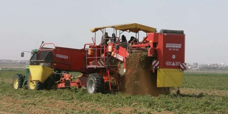 צילום: מרים צחי