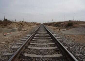 צילום: דודו גרינשפן