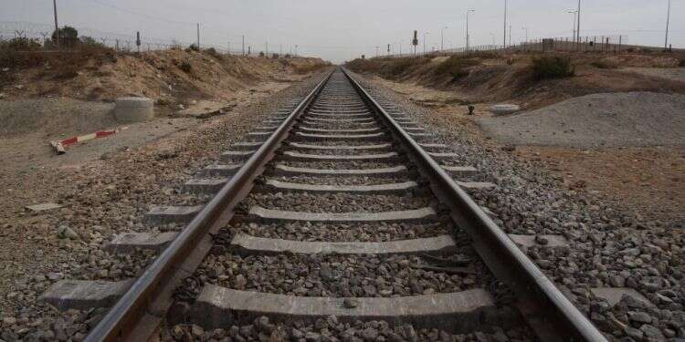 צילום: דודו גרינשפן