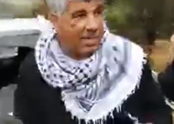 צילום: צילום מסך