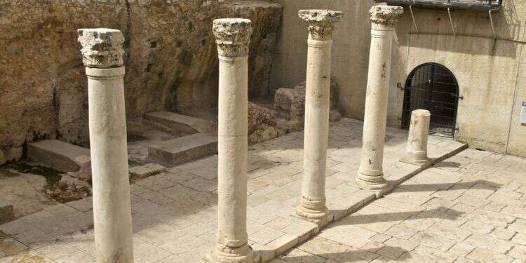 צילום: שאטרסטוק