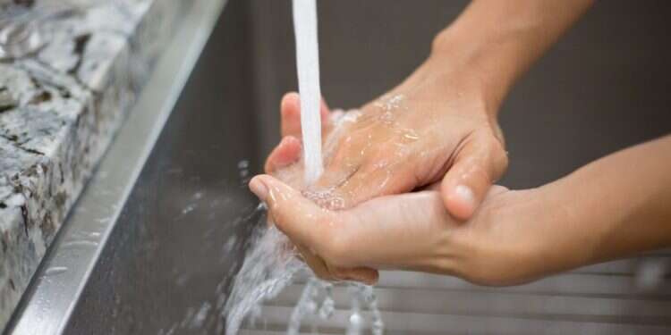 צילום: שאטרסטוק