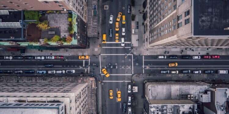 חיים קטנים. צילום: שאטרסטוק צילום: שאטרסטוק