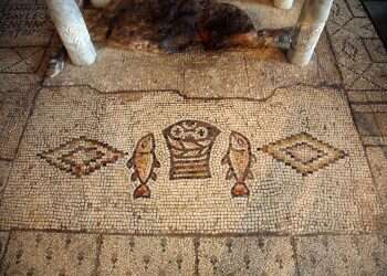 צילום: שאטרסטוק