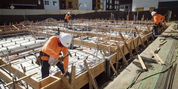 פועלים בקליפורניה. צילום: דוד פול מוריס, בלומברג צילום: דוד פול מוריס, בלומברג