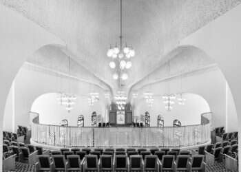 צילום: אלי סינגלובסקי