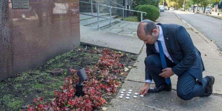 צילום: אלכסי רוזנפלד