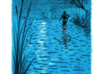 איור: מנחם הלברשטט