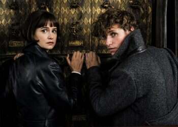 צילום: באדיבות Tulip Entertainment