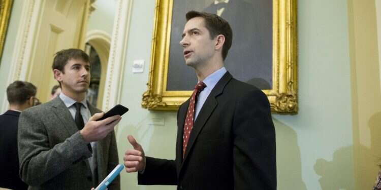 הסנאטור תום קוטון. צילום: EPA צילום: EPA