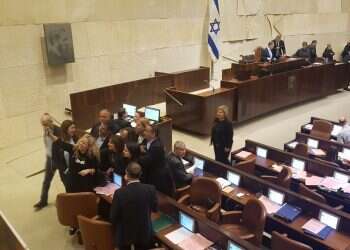 צילום: שירית אביטן כהן