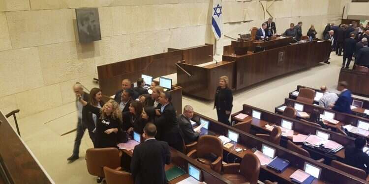 צילום: שירית אביטן כהן