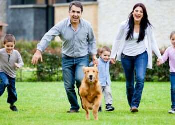 תשכחו מהמלונה: יוצאים לחופשה עם הכלב