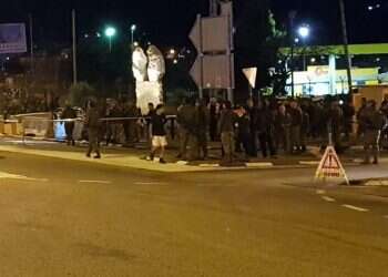 צילום: ענבל ראובני/TPS