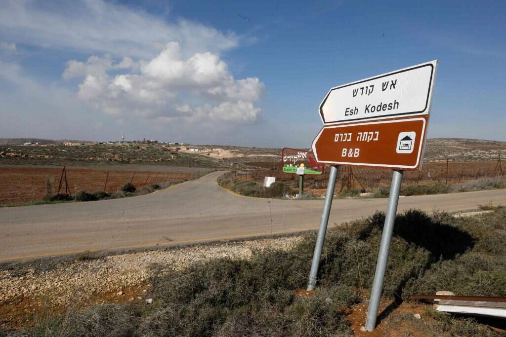 צילום: AFP