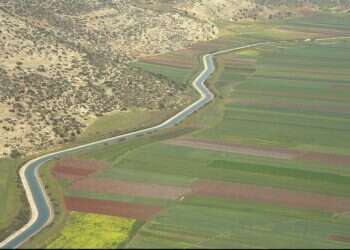 צילום: אבי אוחיון, לע"מ