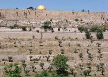 צילום: צחי דבירה