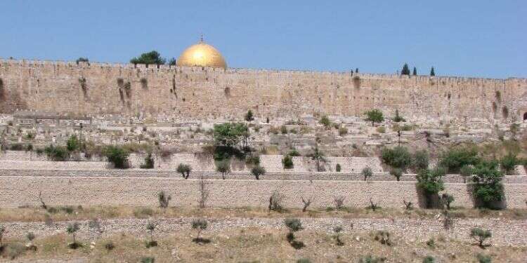 אתר המזבלה של הבית הראשון והשני בקדרון, למרגלות הר הבית. צילום: צחי דבירה צילום: צחי דבירה