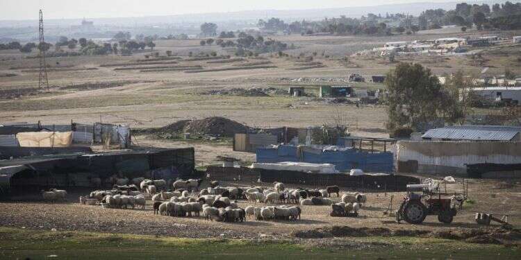 כפר בדואי בנגב. צילום: נתי שוחט, פלאש 90 צילום: נתי שוחט, פלאש 90