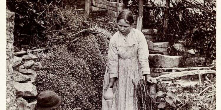 דמות ראשית ששפתה המיוחדת יותר מדי טובה גם בעילגותה. נערה מציעה שתייה לזקן, אנגליה, 1885. צילום: גטי אימג'ס צילום: גטי אימג'ס