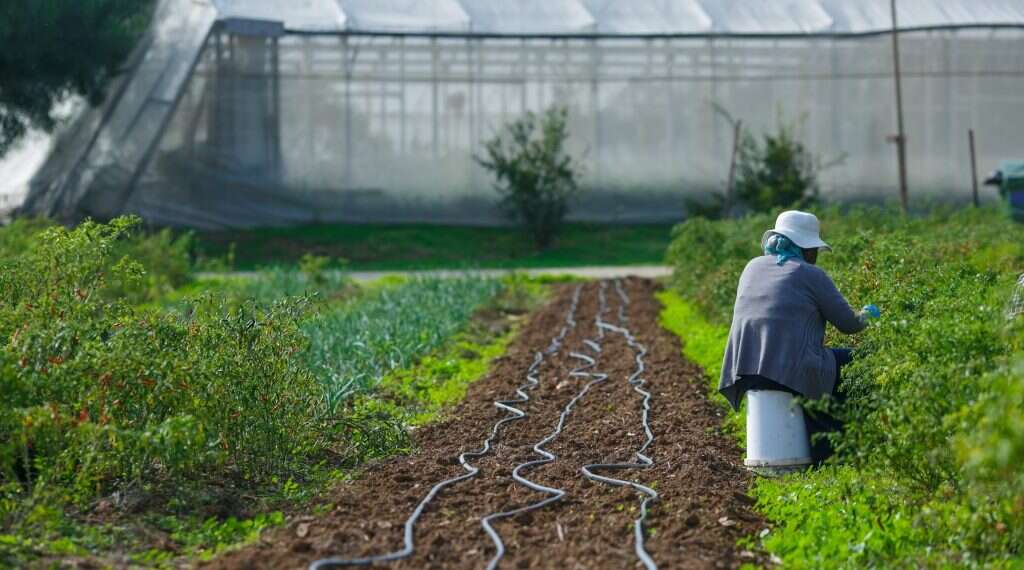 חוות צילום: לירון מולדבן