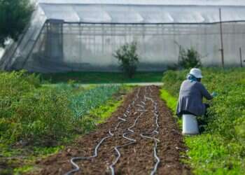 צילום: לירון מולדבן