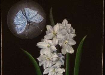 צילום: באדיבות גלריה רוטשילד לאמנות, תל אביב