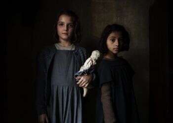 צילום: באדיבות הוט