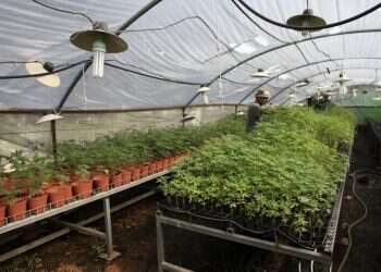 צילום: רויטרס