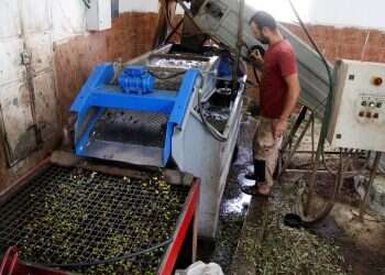 צילום: רויטרס