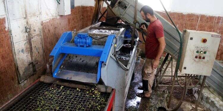 צילום: רויטרס