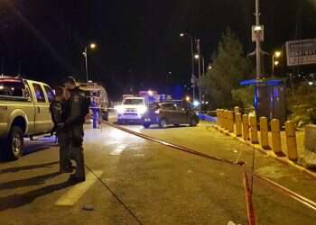 צילום: ענבל ראובני, TPS