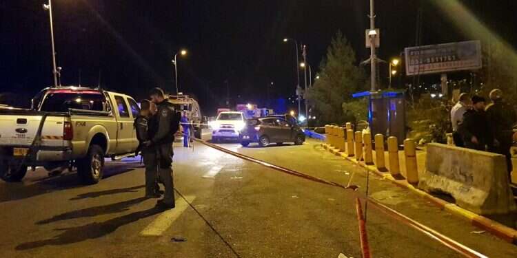 צילום: ענבל ראובני, TPS