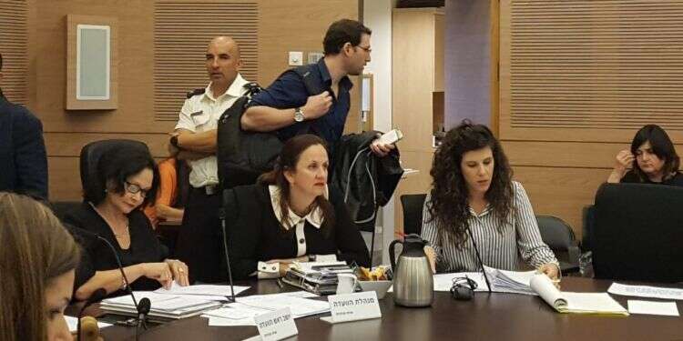 דינה זילבר בוועדת הכלכלה. צילום: שירית אביטן כהן צילום: שירית אביטן כהן
