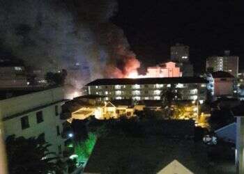 צילום: יח''צ