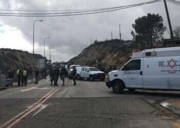 צילום: אריאל זיגלר